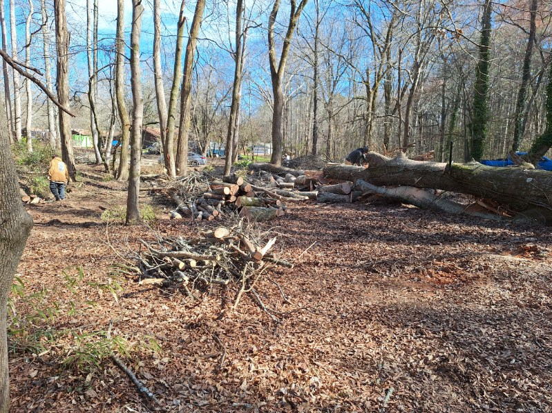 image (2)